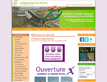 Tablet Screenshot of fede-peche31.com